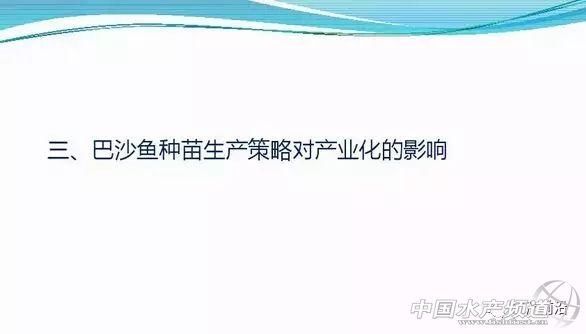 巴沙鱼或要引爆华南水产养殖业