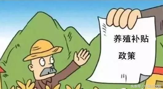 养殖行业补贴重大改革 看了就知道你能拿多少！