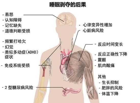 熬夜还有这个好处？别再骗自己了