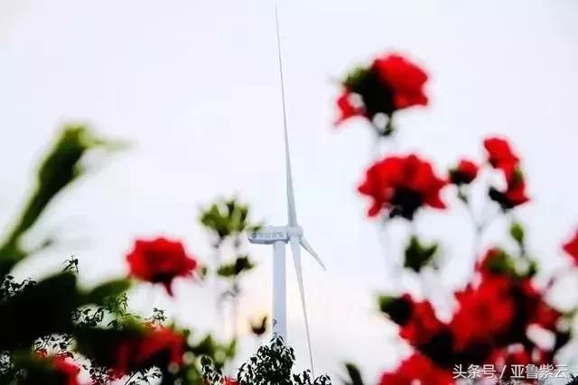 诗和远方在哪里|安顺好山好水告诉你