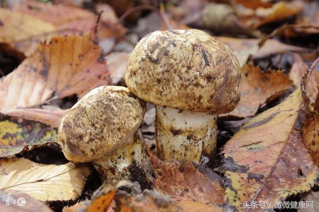 29岁女孩不吸烟不喝酒,查出肝癌晚期,男友:是这