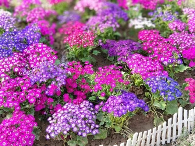 五一旅游好去处：洛阳！城市旅游不虚此行