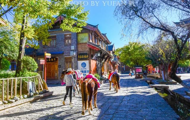 丽江的马为什么没人骑了?50元、40元便可骑着游一圈