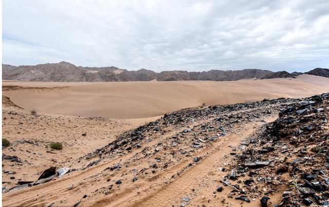 沙漠种水稻亩产千斤的不止袁隆平!中国人太长脸!外国专家都服了