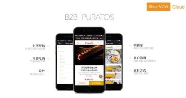 B2B2C战略:品牌商玩转电商该学会两条腿走路