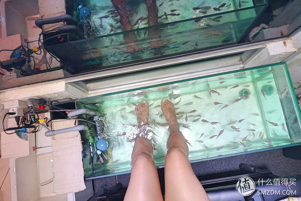 头脑一热，去马来西亚热浪岛了