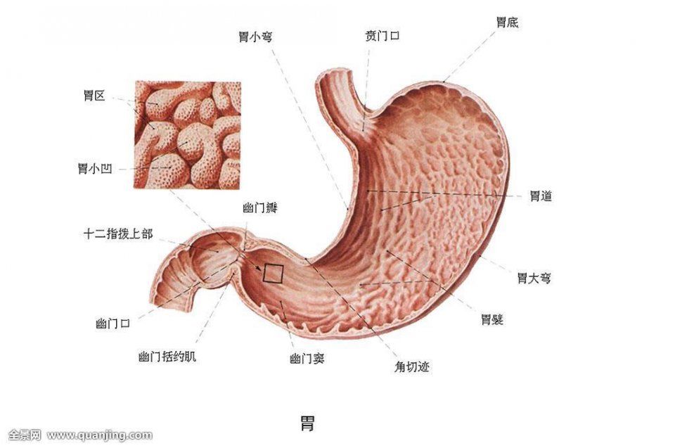 胃癌是癌症之王，胃不好一定要戒掉这四种食物!