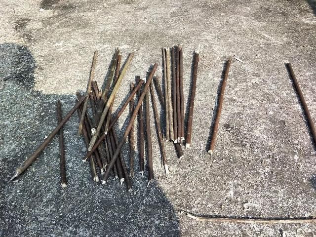 12种绳套陷阱图解_捕鸟绳套技术 图解