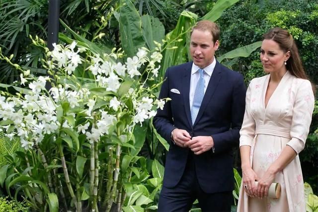 7年前,威廉和凯特参观植物园,王子看到戴安娜