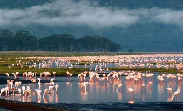 江歌遇害事件再起 不是道德无能为力 而是有人