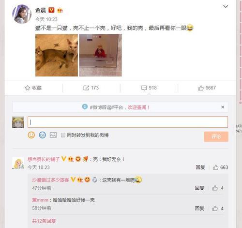金晨方否认恋情 与贾乃亮传绯闻疑似要当甜馨