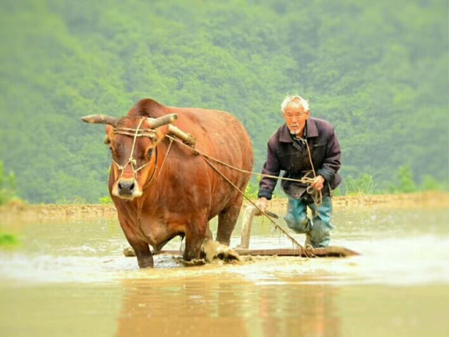 此情此景，距离今天的孩子究竟有多远?