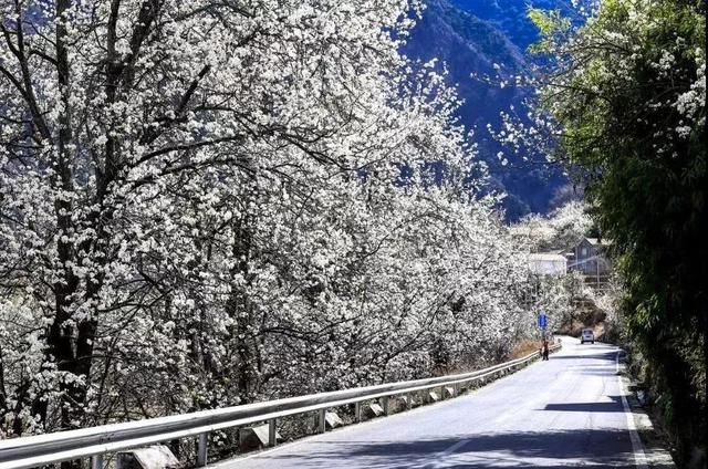 阳春三月，中国10个最美最值得去的旅游胜地，错过再等一年