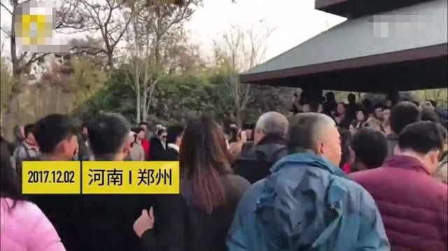 市民厌、网友烦的河南尬舞死灰复燃,如此疯狂