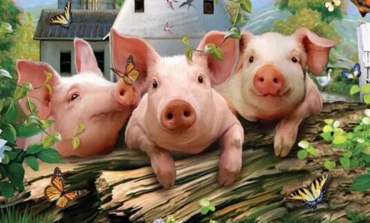 家庭农场注册条件