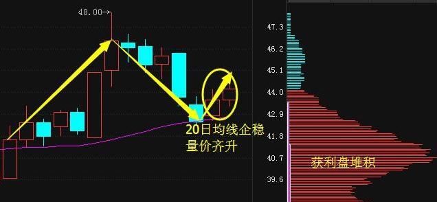 香港一女教授豪言:28年仅用\＂集合竞价\＂抓涨停,盈利至今,建议