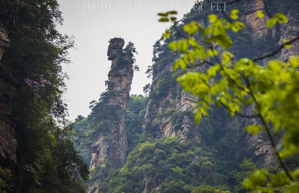 人间仙境四月天，张家界武陵源旅游攻略