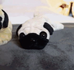 爆笑GIF: 只有养狗的人才懂洗狗的痛!