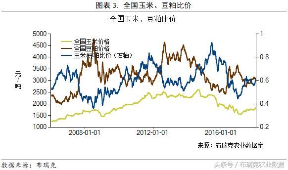 本周国内玉米价格小幅上涨