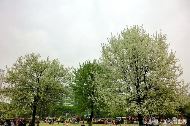 武汉漫行:东湖沿湖路走走