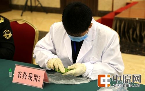 郑州市举办第十四届职工技术运动会食品药品监