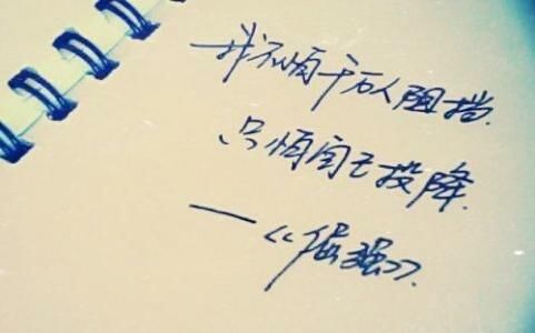 t014f39dc9bf4fe0b8d.jpg