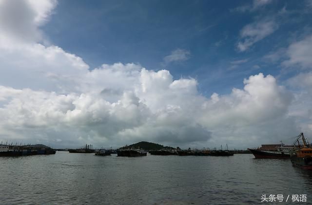 广东阳江东平渔港伏季开渔好特别 不请大媒体