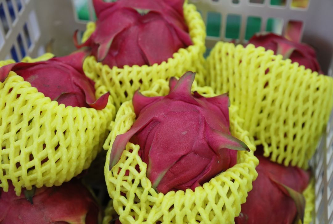 农视词典|水果自由