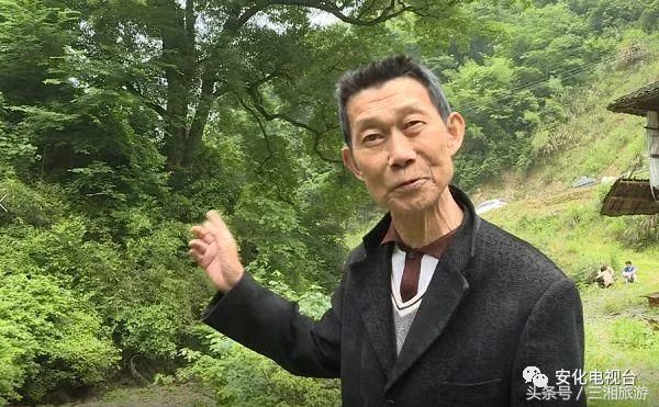 厉害了！湖南3棵名木被评为“中国最美古树”，树龄高达1500年