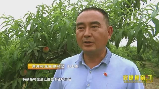 桃园蓝图记新野县新甸铺镇津湾村党支部书记王玉森