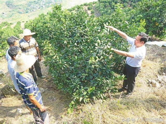 农村3大新兴致富职业，农民靠它们富得流油！