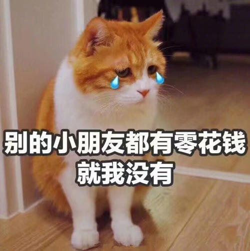 过年萌宠表情:妈妈,你的小可爱起来一点想要表情包的闹图片