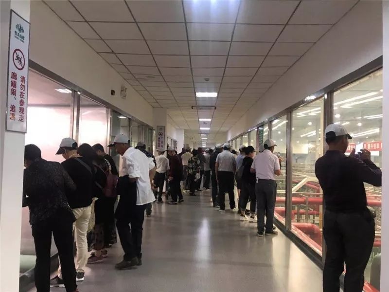 全国首个“中国气候宜居城市“迎来首个千人旅游团！