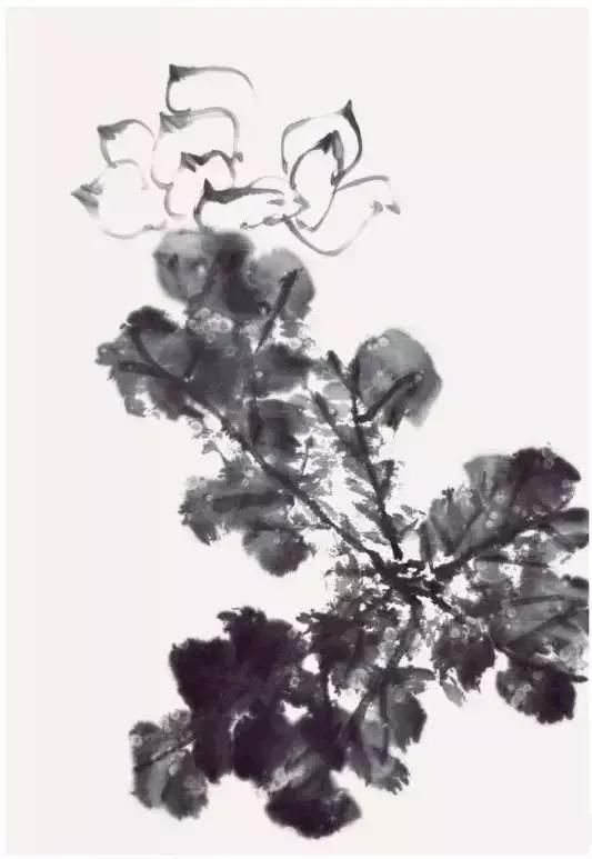 以淡墨画出荷花梗和荷叶梗,用笔要流畅.图片