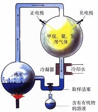 生命是怎么来的?真是亮瞎了我的眼睛!