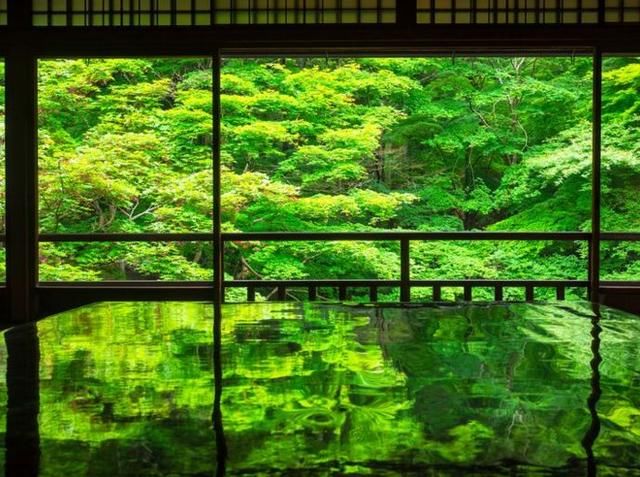 日本绝美的绿色景点10选!夏季到这些地方就对