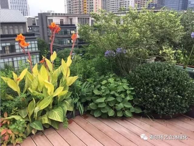 积木式模块轻松打造屋顶花园，成为城市绿化的主要方向