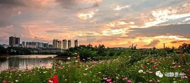 贵州这几个县也要撤县设市,看看是你家乡吗?