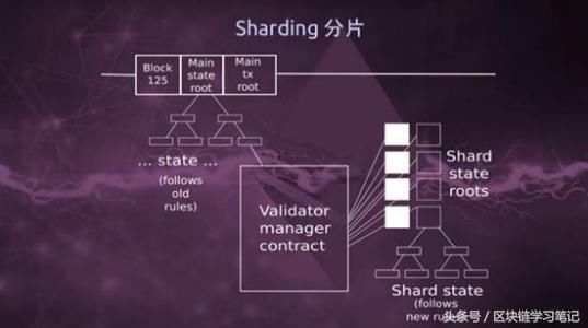 区块链扩容方案分片技术(sharding)