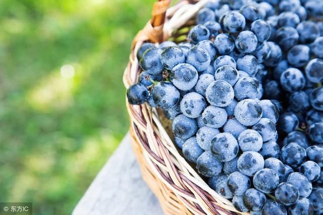 吃黑提葡萄有什么好处?黑提子的功效与作用