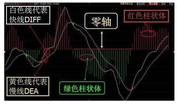 一位股市天才家告诉你，为什么中国股市的散户总是在亏钱？