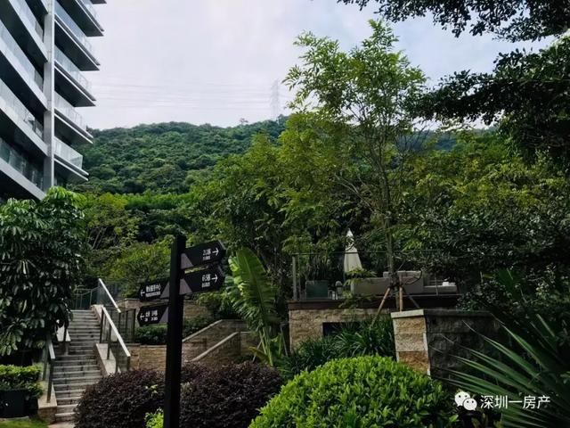 揽南山 阅前海汉京九榕台