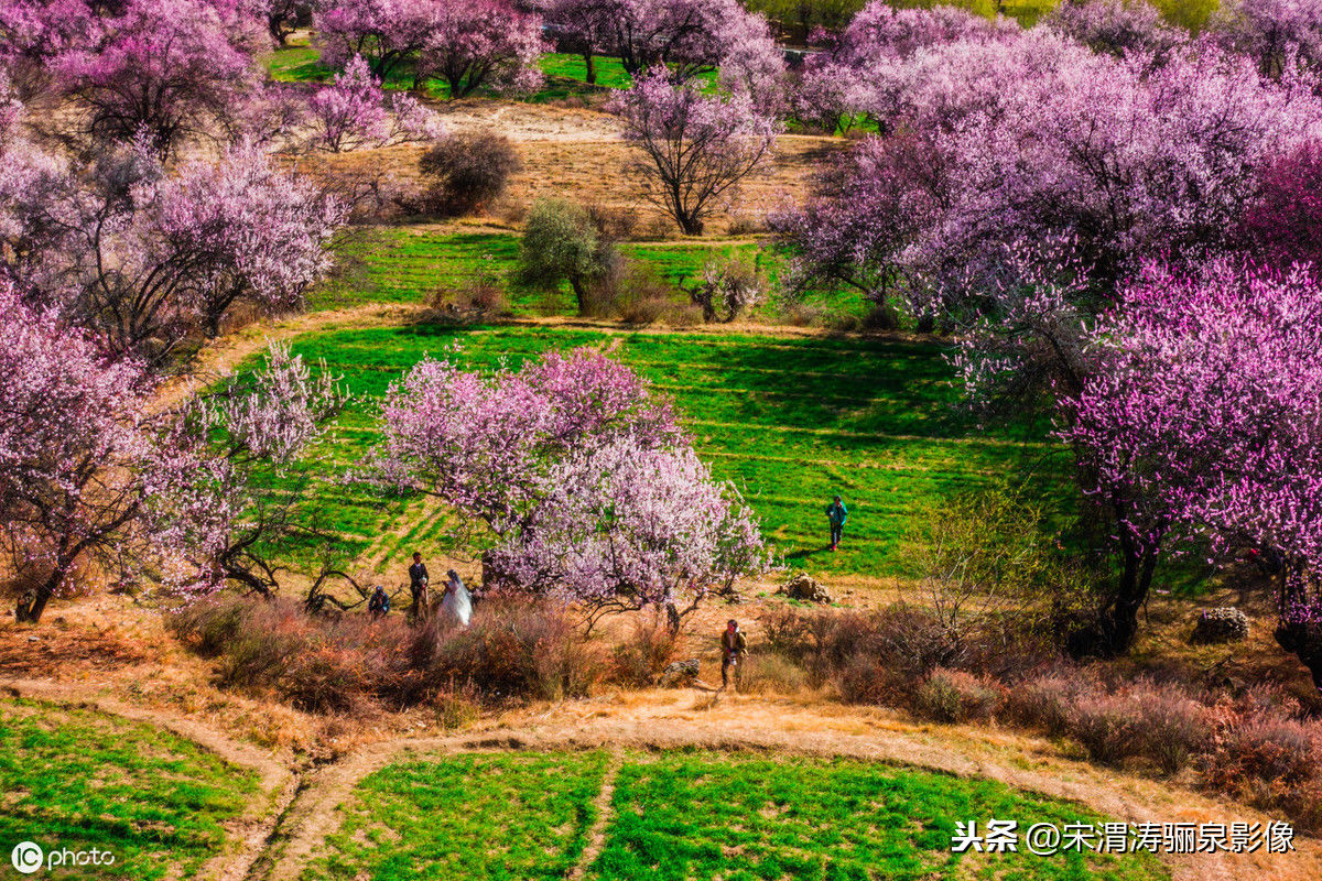 陕西旅游摄影协会手机分会力推2019林芝市第