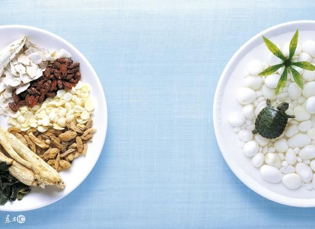 具有肾毒性的中药都有什么