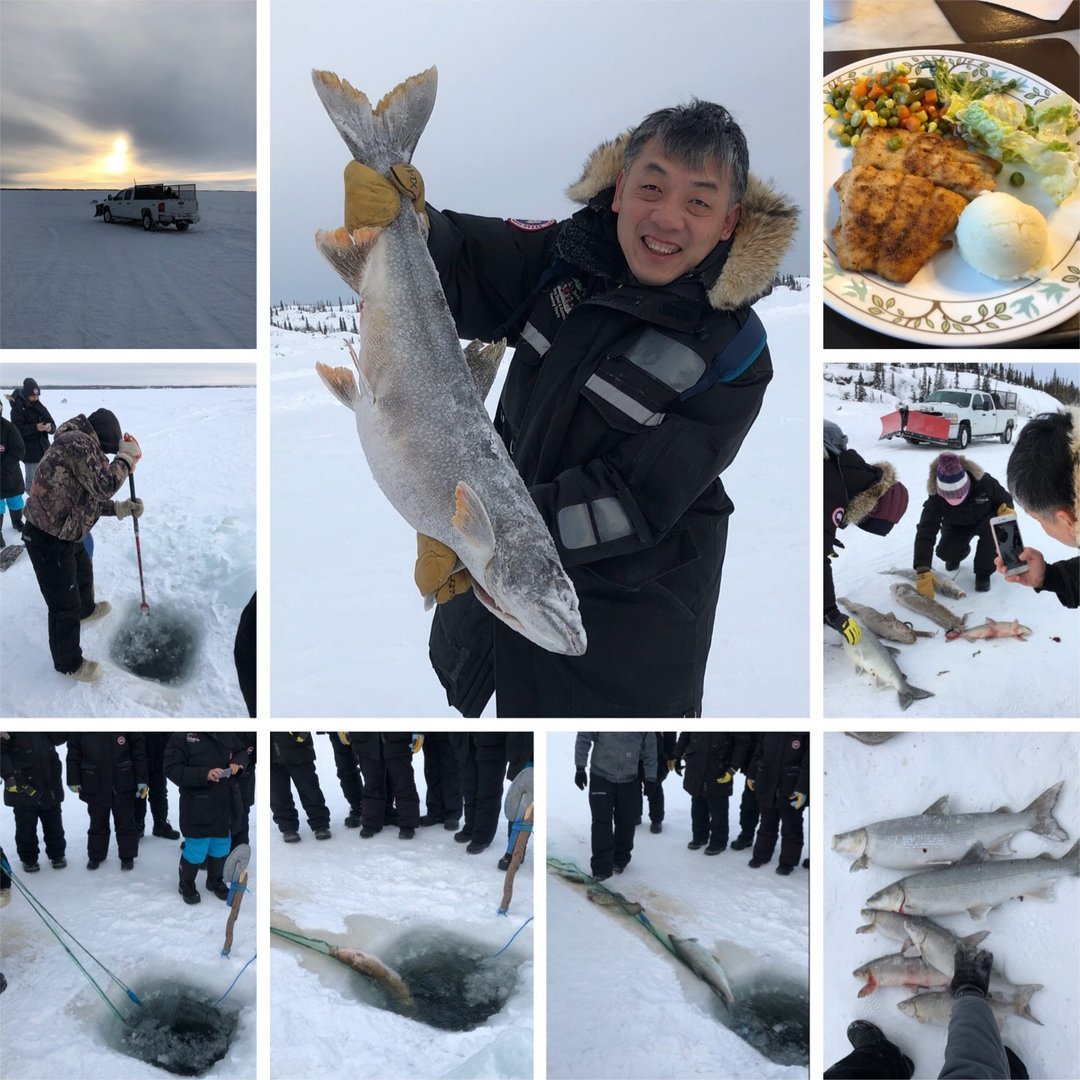 滑雪是单板简单