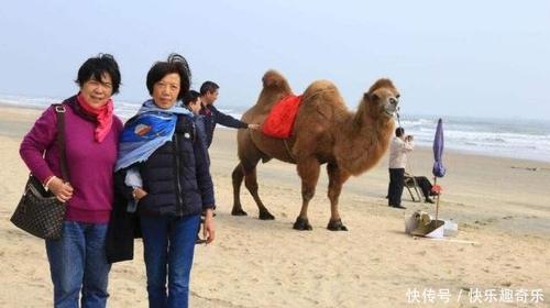 旅游局投诉电话