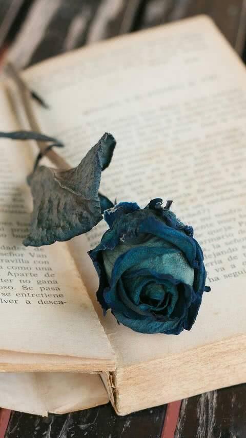 十条句子,饮一坛醇酒,流芳香满溢,梦里忖度姻缘