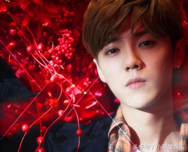 杨洋取代鹿晗,马蓉工作室:鹿晗300万的违约金