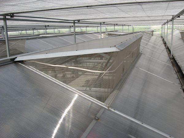 双层保温棚 t0152eac4dd72720429.jpg