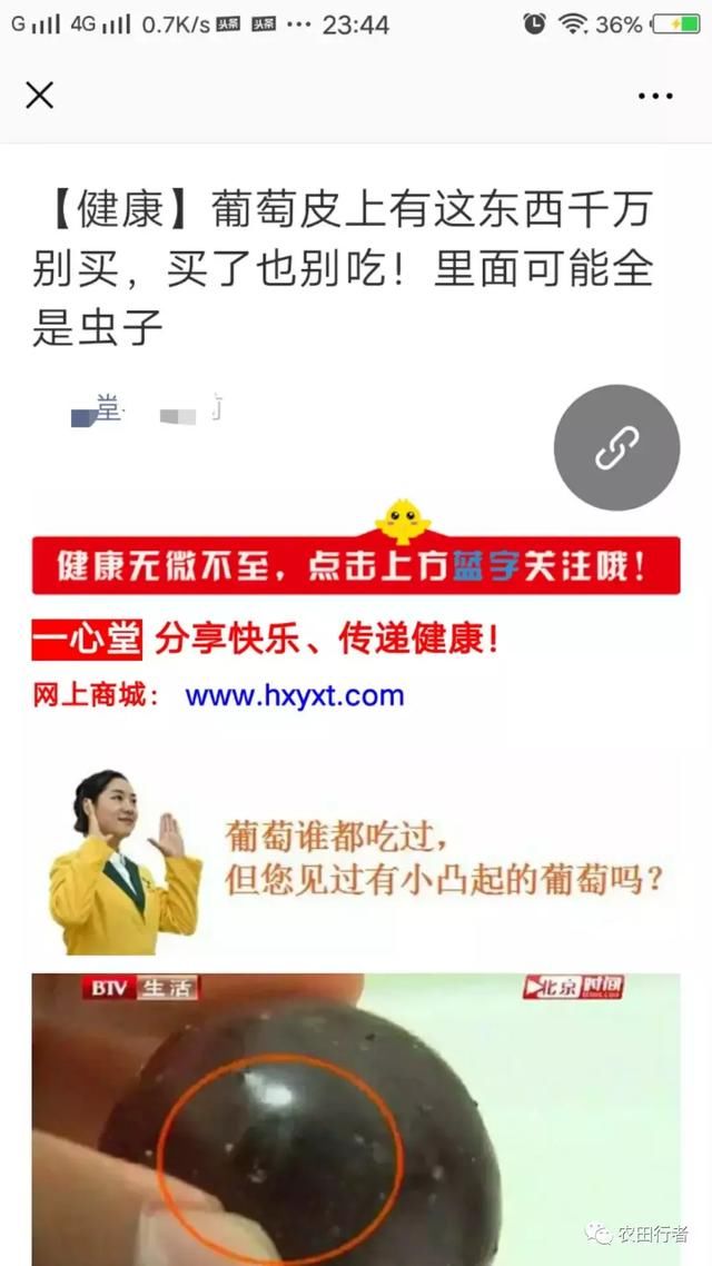 网络谣言又起，建水县葡萄价格大跌，农民种地不易，请不要传谣！